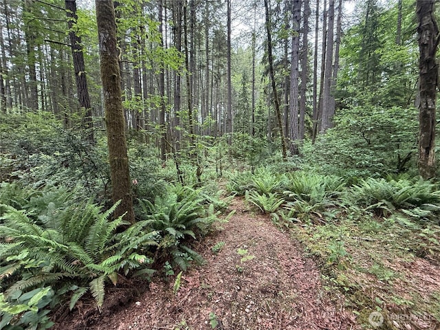 13257 118th Ave NW, Gig Harbor, WA 98329 - photo 8