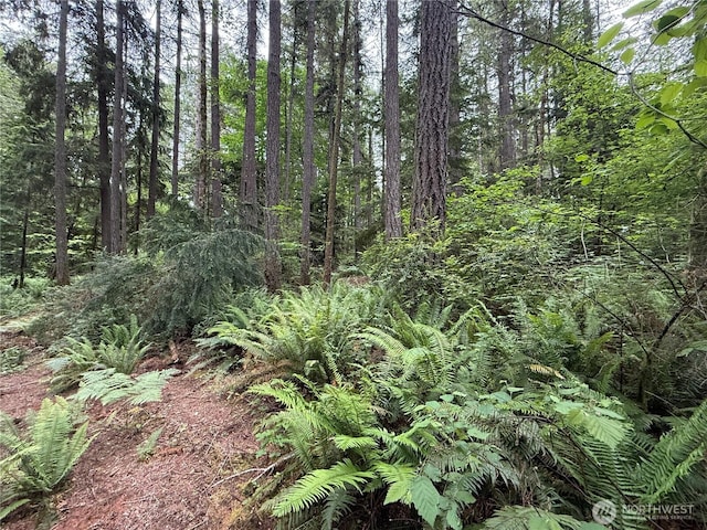 13257 118th Ave NW, Gig Harbor, WA 98329 - photo 12