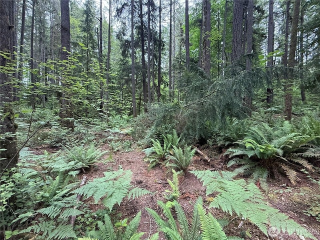 13257 118th Ave NW, Gig Harbor, WA 98329 - photo 13