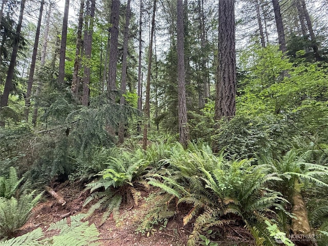 13257 118th Ave NW, Gig Harbor, WA 98329 - photo 14