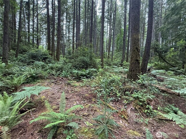 13257 118th Ave NW, Gig Harbor, WA 98329 - photo 17