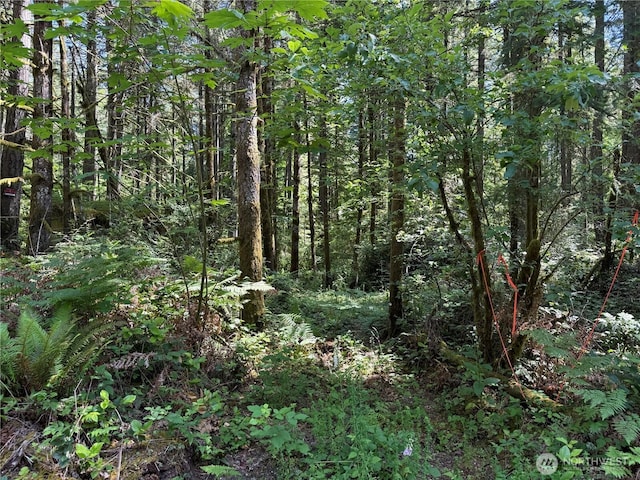 13257 118th Ave NW, Gig Harbor, WA 98329 - photo 23