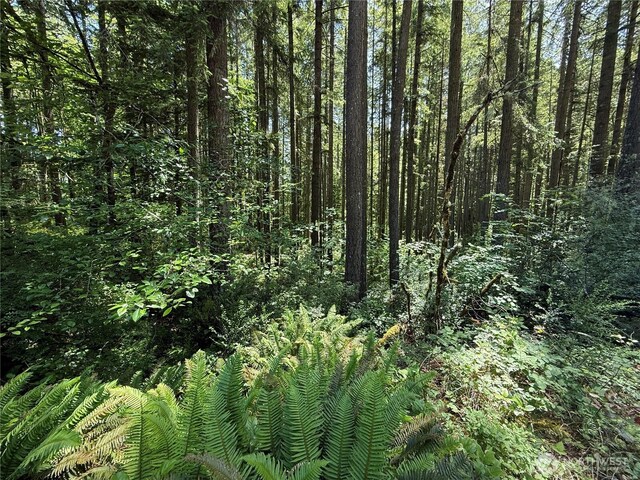 13257 118th Ave NW, Gig Harbor, WA 98329 - photo 26