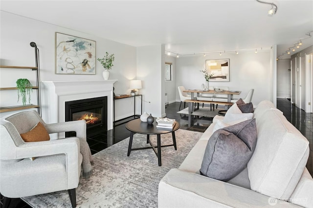525 Belmont Ave E Unit 4F, Seattle, WA 98102 - living area featuring track lighting and a glass covered fireplace