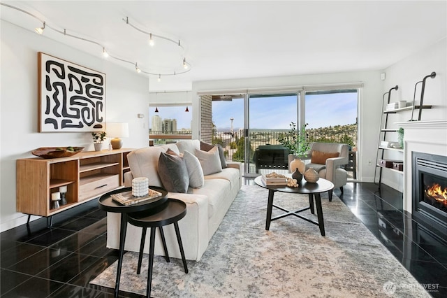 525 Belmont Ave E Unit 4F, Seattle, WA 98102 - living room featuring a glass covered fireplace and granite tiled floors