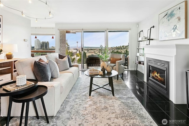 525 Belmont Ave E Unit 4F, Seattle, WA 98102 - living room featuring granite floors and a glass covered fireplace