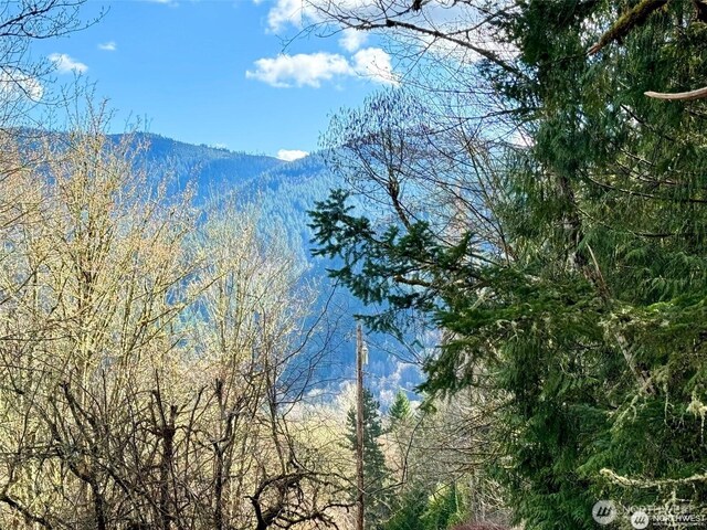 7011 272nd Ave SE, Issaquah, WA 98027 - photo 3