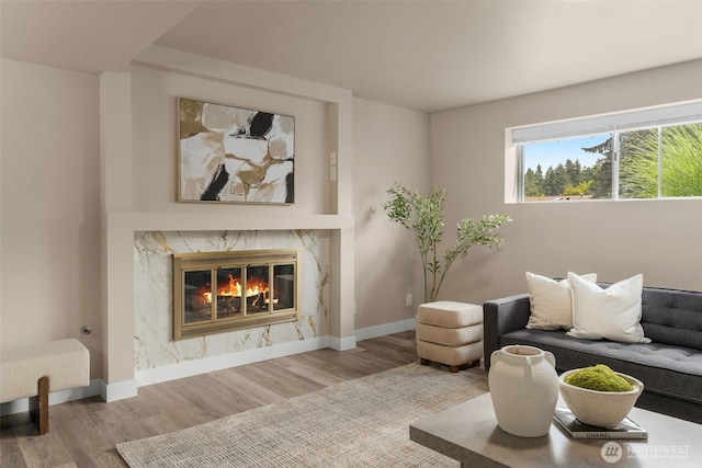 539 129th Ave SE, Bellevue, WA 98005 - living room featuring wood finished floors and a premium fireplace