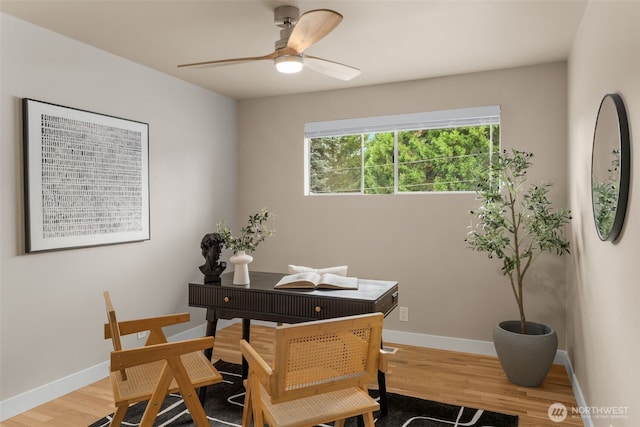 539 129th Ave SE, Bellevue, WA 98005 - office with ceiling fan and light wood-style floors