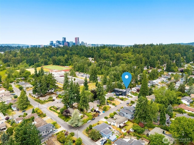 539 129th Ave SE, Bellevue, WA 98005 - bird's eye view of a forest
