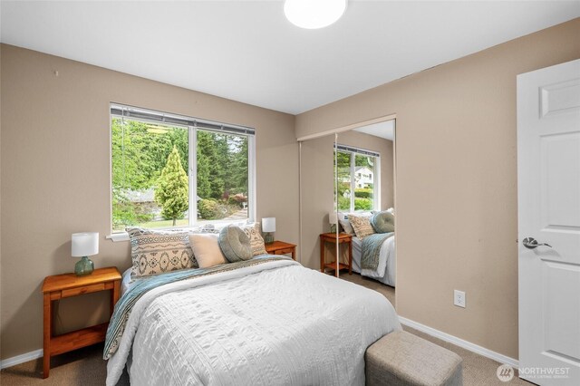 3910 Westpark Ct NW, Olympia, WA 98502 - bedroom with baseboards and carpet