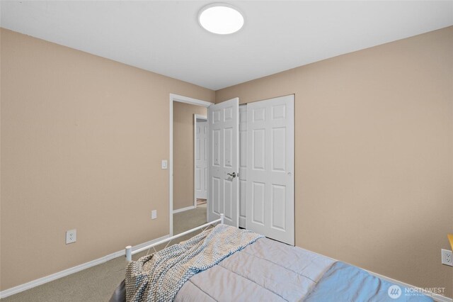 3910 Westpark Ct NW, Olympia, WA 98502 - bedroom with carpet flooring and a closet