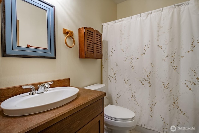 9206 Delta Line Rd, Custer, WA 98240 - full bathroom featuring vanity and curtained shower