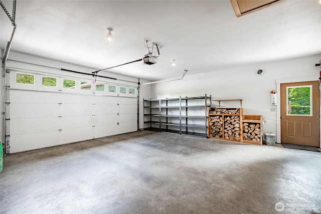 9206 Delta Line Rd, Custer, WA 98240 - garage with a garage door opener