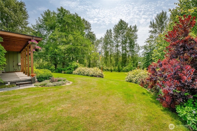 9206 Delta Line Rd, Custer, WA 98240 - view of green lawn