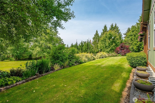 9206 Delta Line Rd, Custer, WA 98240 - view of grassy yard