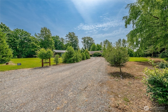9206 Delta Line Rd, Custer, WA 98240 - view of dirt / gravel road