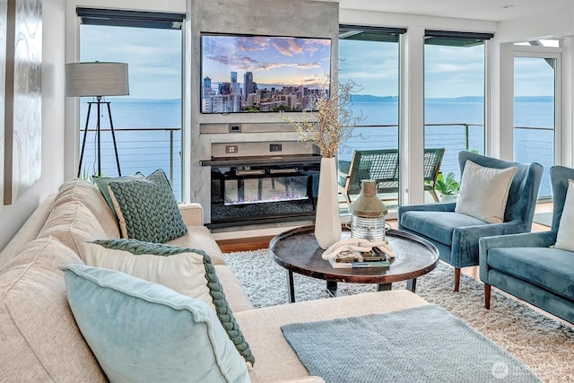 3717 Beach Dr SW Unit 207, Seattle, WA 98116 - living room featuring a water view, healthy amount of natural light, and wood finished floors