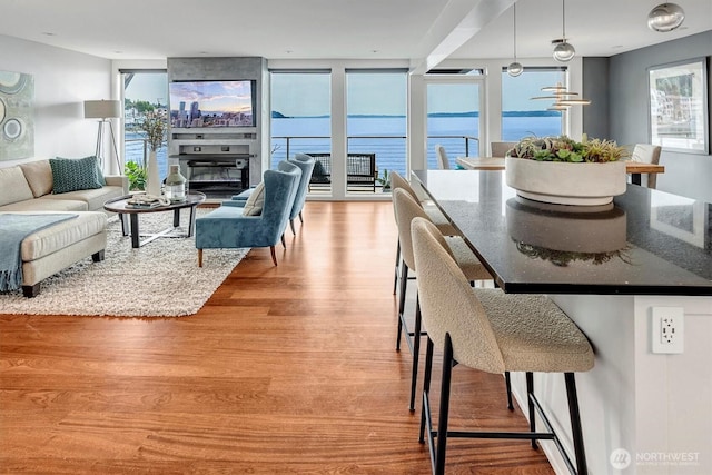 3717 Beach Dr SW Unit 207, Seattle, WA 98116 - living area with light wood finished floors and a glass covered fireplace