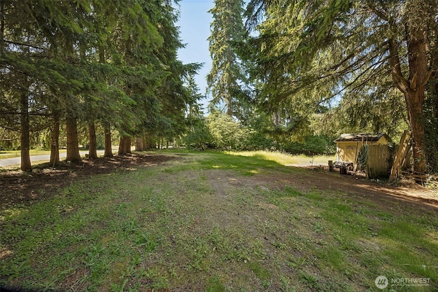 12820 E 129th St, Puyallup, WA 98374 - view of yard featuring a shed
