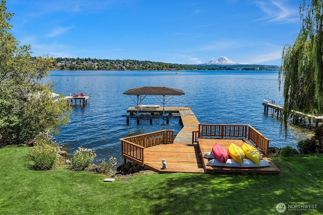 8260 Avalon Dr, Mercer Island, WA 98040 - dock area with a water and mountain view and a lawn