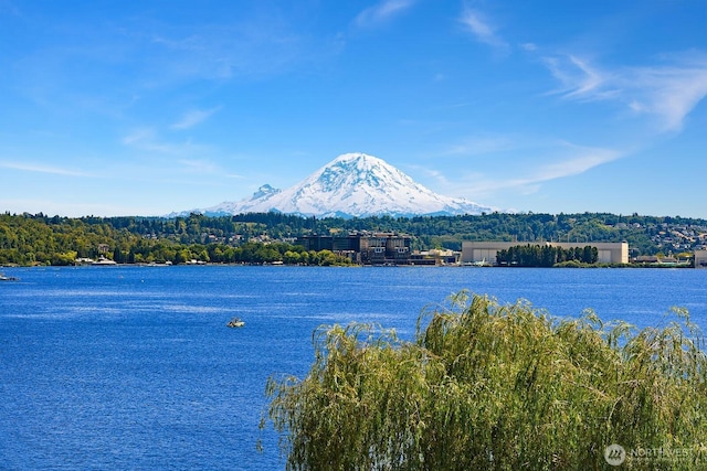 8260 Avalon Dr, Mercer Island, WA 98040 - water view featuring mountains