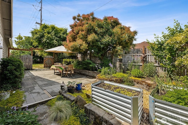 4919 N 31st St, Tacoma, WA 98407 - view of yard with a patio area and a vegetable garden