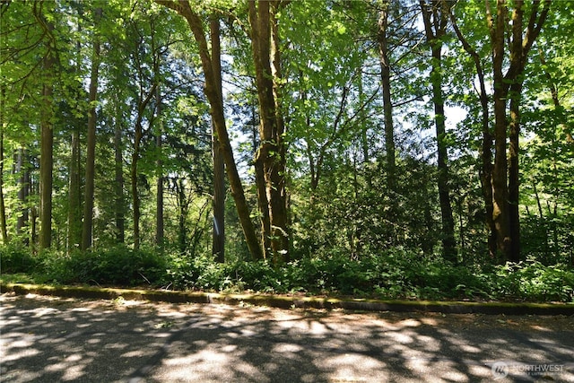 2427 Archwood Dr, Longview, WA 98632 - photo 2