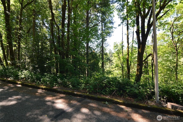 2429 Archwood Dr, Longview, WA 98632 - photo 2