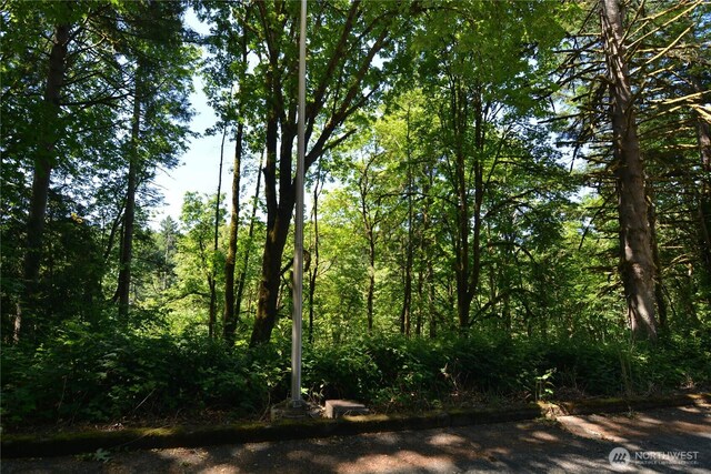 2429 Archwood Dr, Longview, WA 98632 - photo 3
