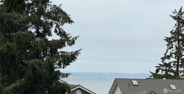 762 Evergreen Ave SE, Ocean Shores, WA 98569 - water view