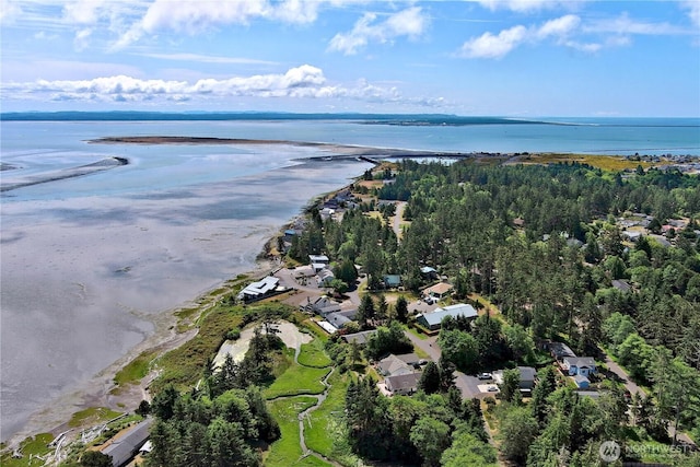 762 Evergreen Ave SE, Ocean Shores, WA 98569 - view of property location with a large body of water