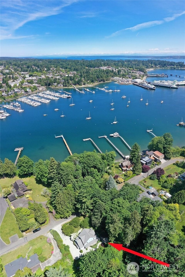 5940 Rose Loop NE, Bainbridge Island, WA 98110 - aerial view of property and surrounding area featuring a large body of water and a marina
