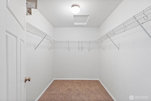 1208 Goldfinch Ave SW, Orting, WA 98360 - walk in closet featuring carpet