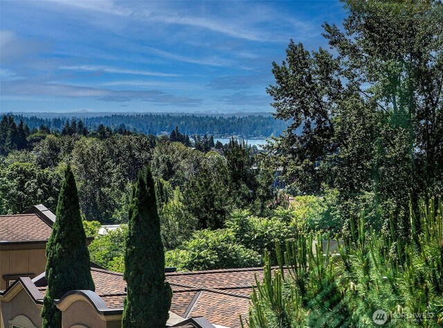 11115 NE 95th St, Kirkland, WA 98033 - view of mountain background featuring a forest