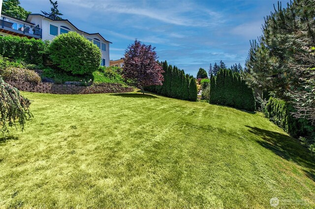 11115 NE 95th St, Kirkland, WA 98033 - view of grassy yard