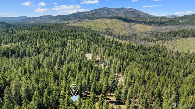 1131 Sandy Ridge Rd, Cle Elum, WA 98922 - drone / aerial view of mountains and a heavily wooded area