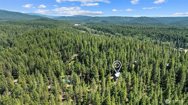 1131 Sandy Ridge Rd, Cle Elum, WA 98922 - aerial view of a heavily wooded area and a mountain backdrop