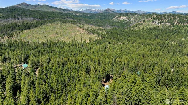 1131 Sandy Ridge Rd, Cle Elum, WA 98922 - view of mountain backdrop with a forest