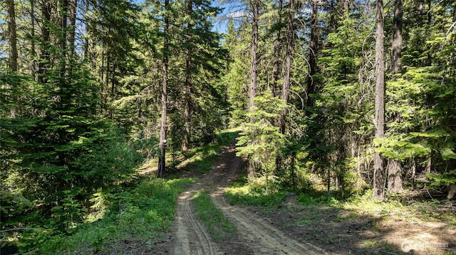 1131 Sandy Ridge Rd, Cle Elum, WA 98922 - view of dirt / gravel road with a view of trees