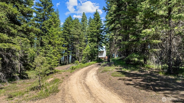 1131 Sandy Ridge Rd, Cle Elum, WA 98922 - view of dirt / gravel road featuring a view of trees