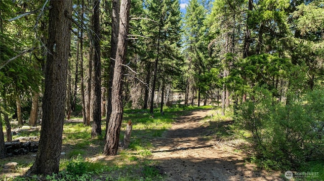 1131 Sandy Ridge Rd, Cle Elum, WA 98922 - view of wooded area