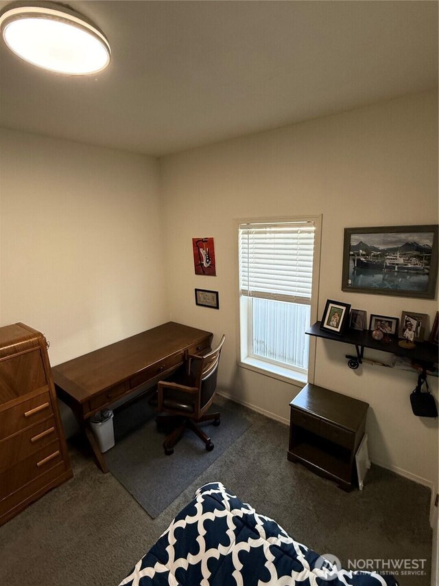 2101 S 324th St Unit 107, Federal Way, WA 98003 - office space featuring carpet floors