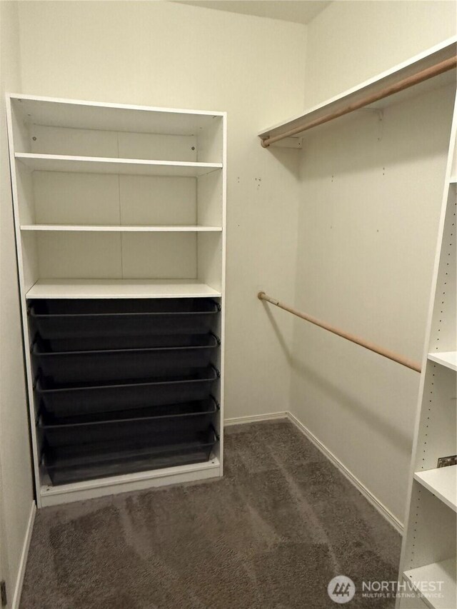2101 S 324th St Unit 107, Federal Way, WA 98003 - spacious closet with dark carpet