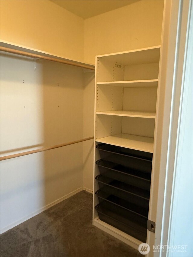2101 S 324th St Unit 107, Federal Way, WA 98003 - walk in closet featuring dark carpet