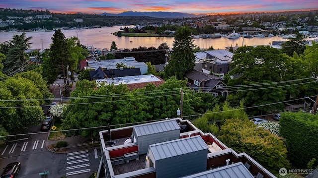 252 E Roanoke St, Seattle, WA 98102 - view of property location with a water and mountain view and property boundaries highlighted