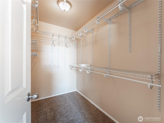 2422 Highland View Dr, East Wenatchee, WA 98802 - spacious closet with carpet floors