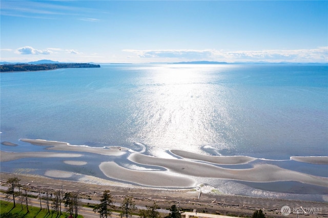 8026 Birch Bay Dr Unit 216, Blaine, WA 98230 - water view