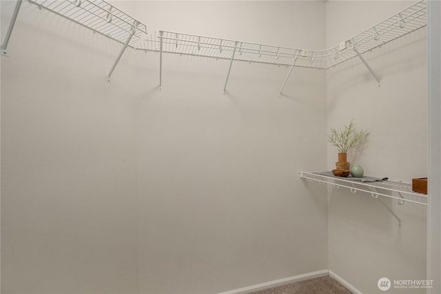 5100 Talbot Pl S Unit F, Renton, WA 98055 - walk in closet with carpet