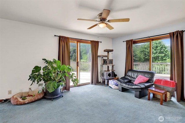 8120 Gordon Rd, Concrete, WA 98237 - sitting room featuring carpet and ceiling fan
